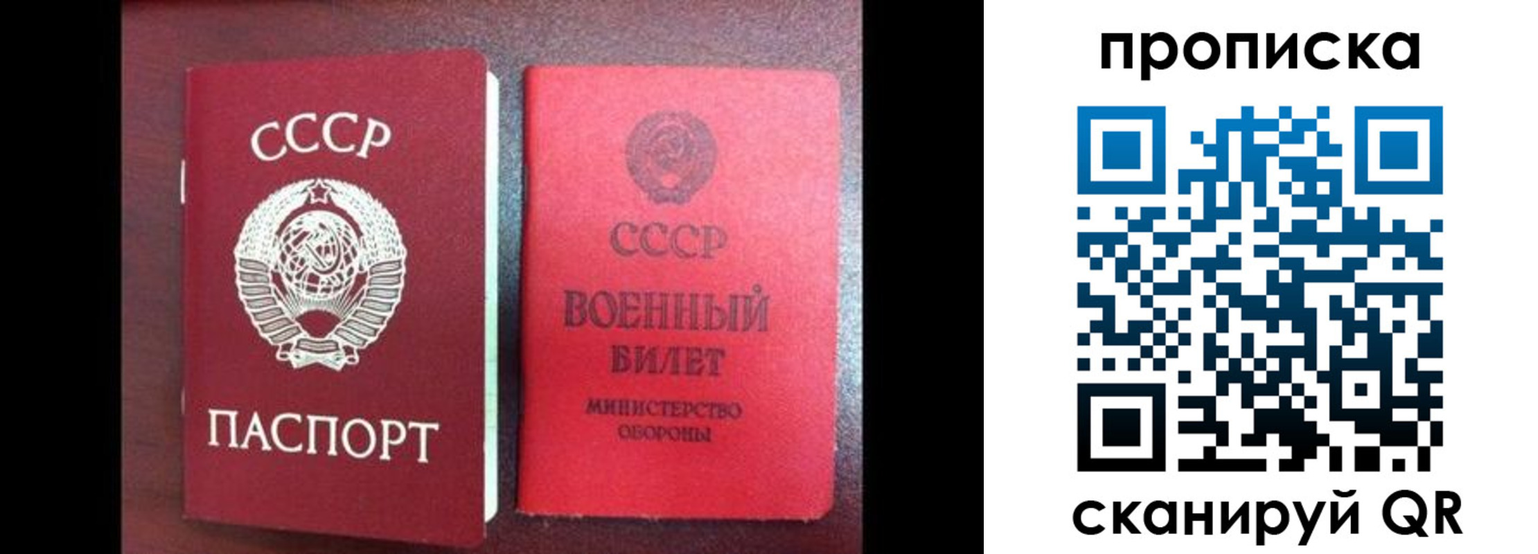 временная регистрация поиск в Ивантеевке